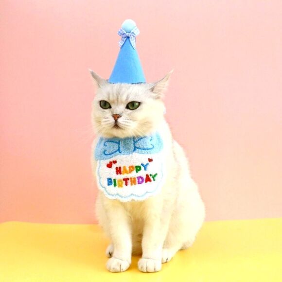 2/$20 Brand new pet happy birthday costume - Picture 1 of 5